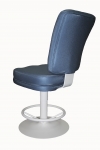 Custom Large Back Tubular Disc Back View